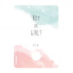 kraskaart-boy-girl-gender-reveal