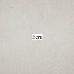 teddy ecru teddy ecru